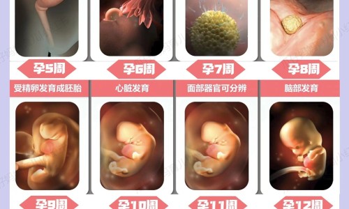 6个月孩子可以吃红枣吗为什么-6个月孩子可以吃红枣吗网- 六个月宝宝能吃红糖吗知识,分享六个月宝宝可以吃红枣吗
